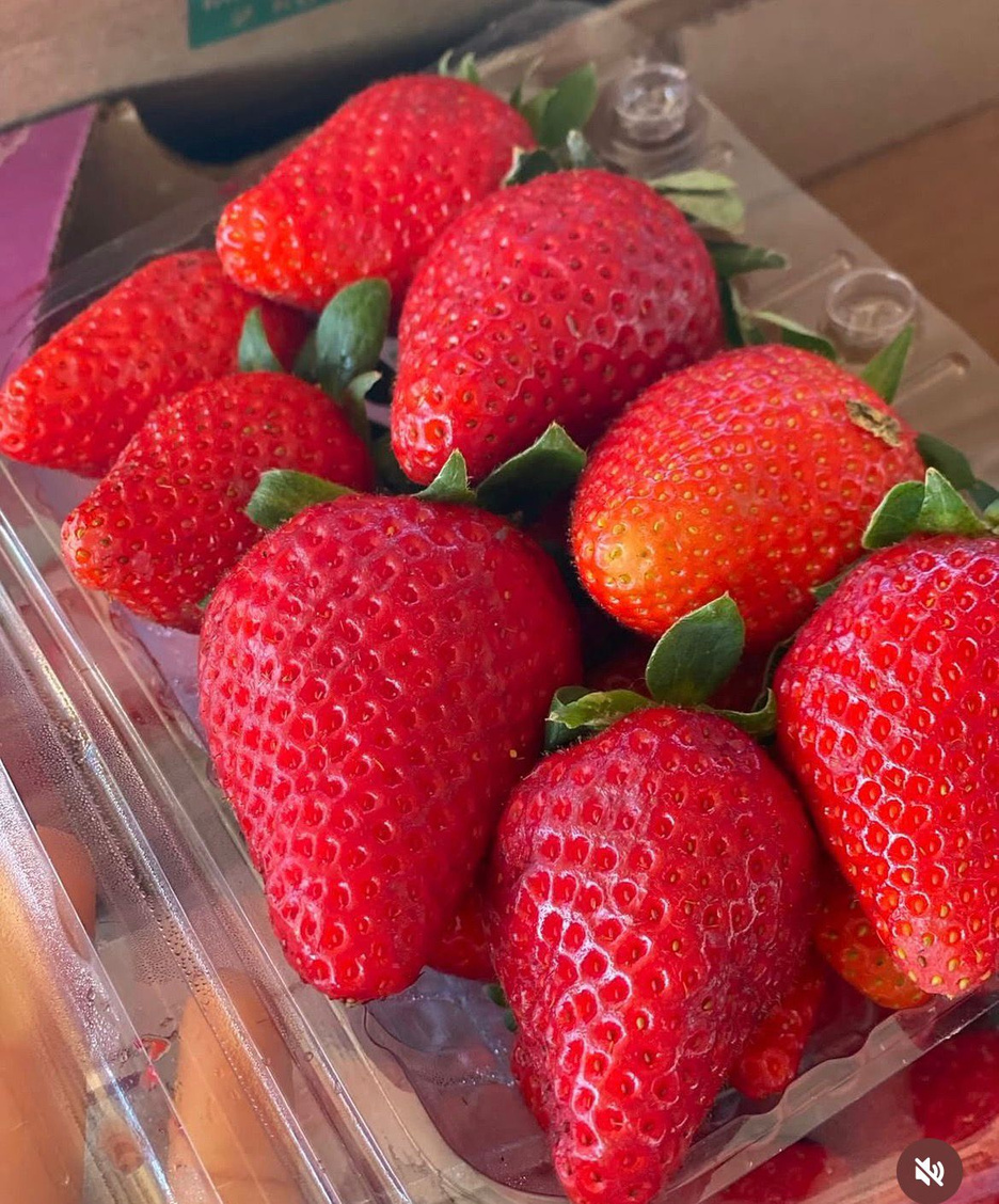 Morango