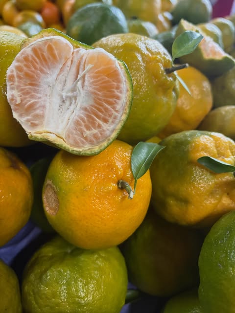 Frutas cítricas frescas selecionadas pela Ifruts